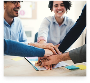 Our Team